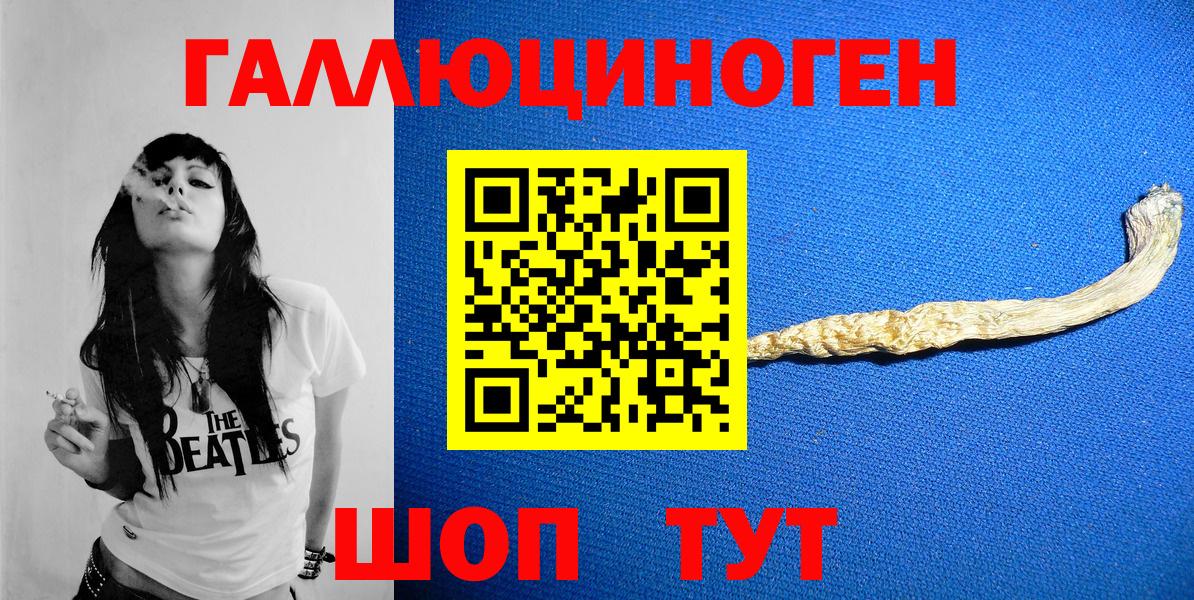 Галлюциногенные грибы Psilocybe  Вход с VPN  Сибай 