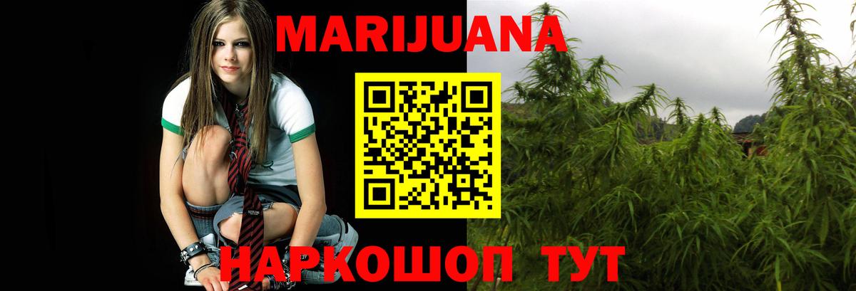 Бошки Шишки индика Сибай